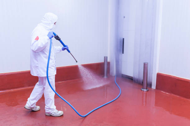 Best Sidewalk and Walkway Cleaning  in Brookings, SD